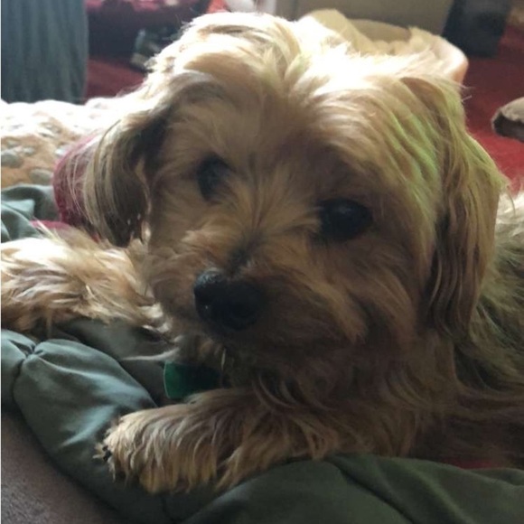 LIVE TODAY 1:00 PM EST FREE PEOPLE & HANDMADE KANTHAS/PATCHWORK PIECES 🔥 - Picture 6 of 14